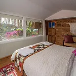 Begonvilla Bungalows فندق