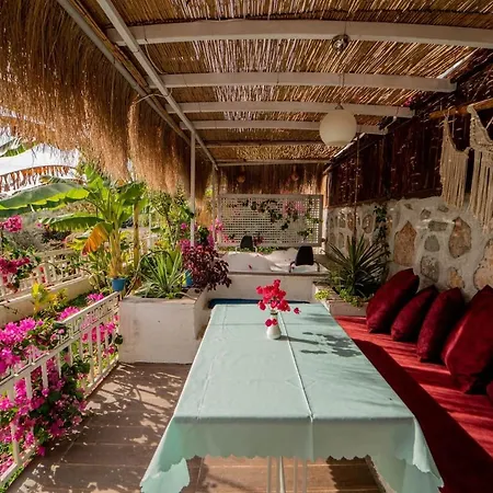 Begonvilla Bungalows Φετιγιέ