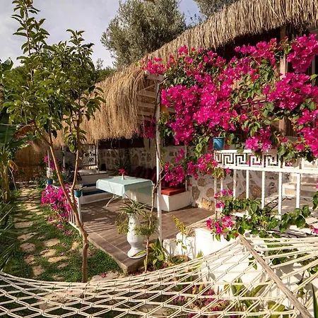 Begonvilla Bungalows