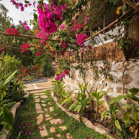 מלון Begonvilla Bungalows