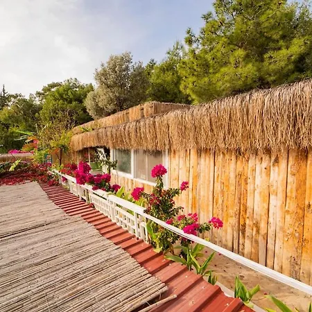 Begonvilla Bungalows Hotel