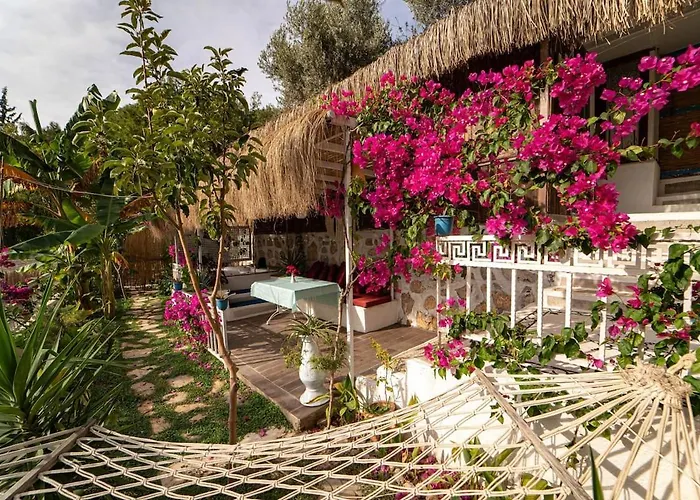 Begonvilla Bungalows