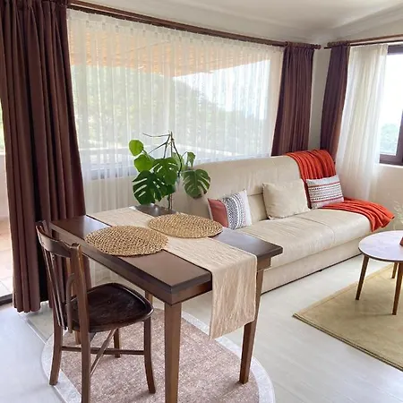 Begonvilla Bungalows Otel